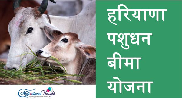 [पशु बीमा ] हरियाणा पशुधन बीमा योजना |ऑनलाइन आवेदन| एप्लीकेशन फॉर्म|